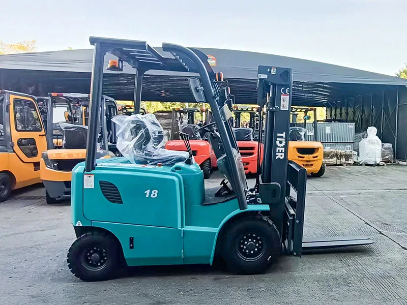 FB18 vista 2