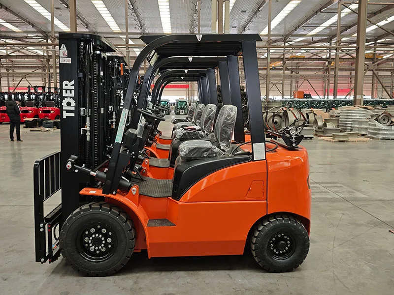 FG20P vista 2